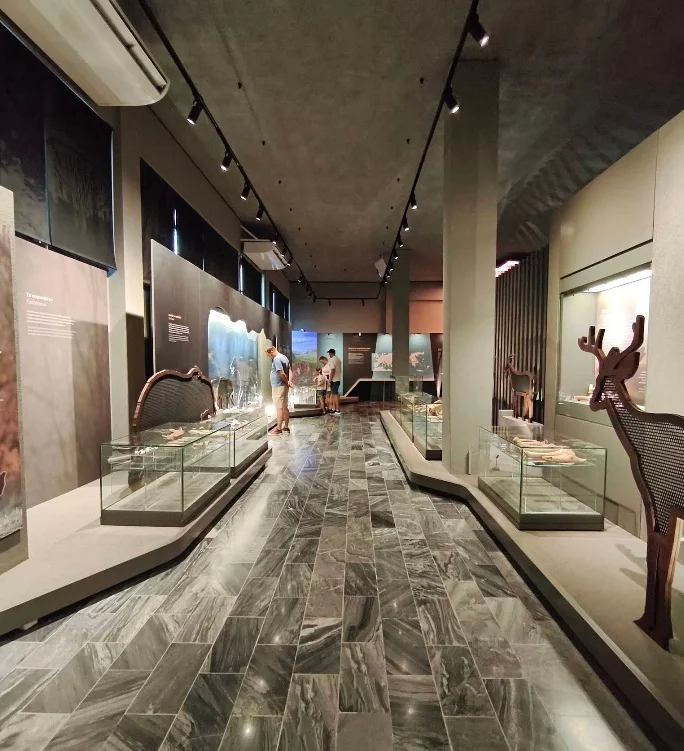 Museum of Petralona