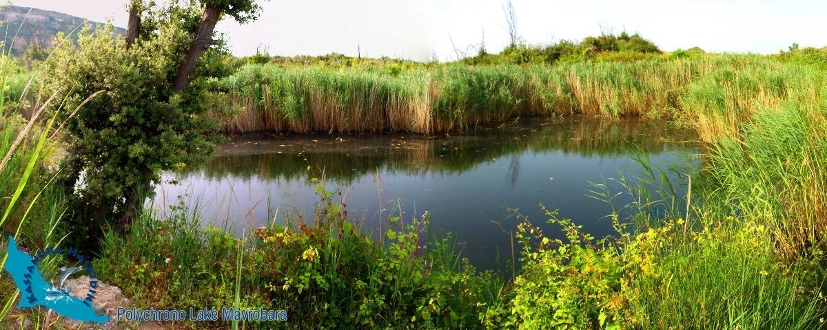 Mavrobara Turtle Lake